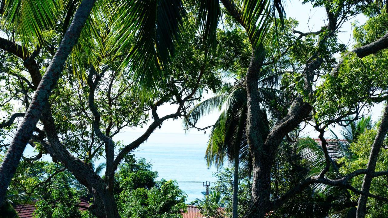 Sea Bay Inn แทนกาลเล ภายนอก รูปภาพ