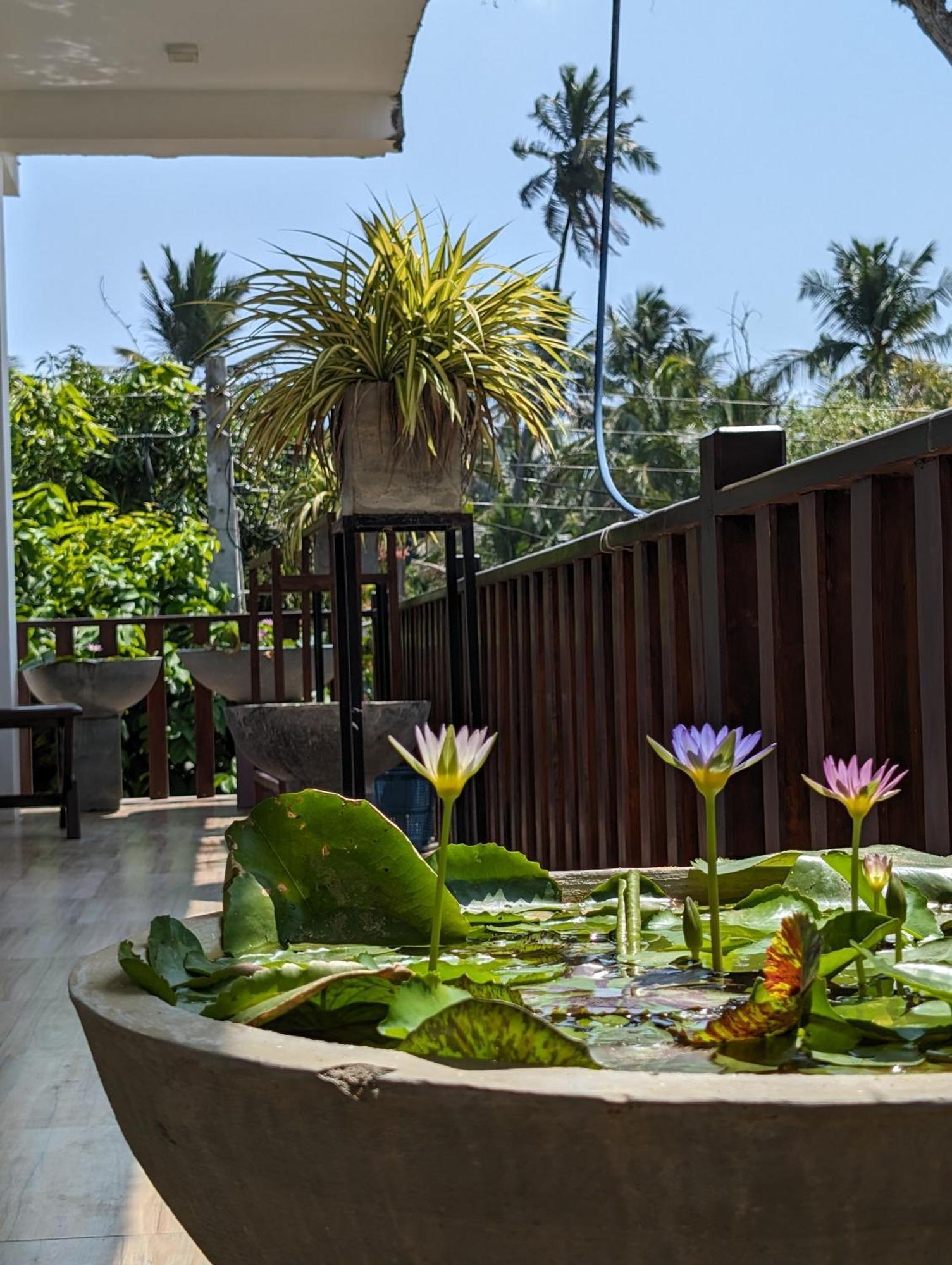 Sea Bay Inn แทนกาลเล ภายนอก รูปภาพ