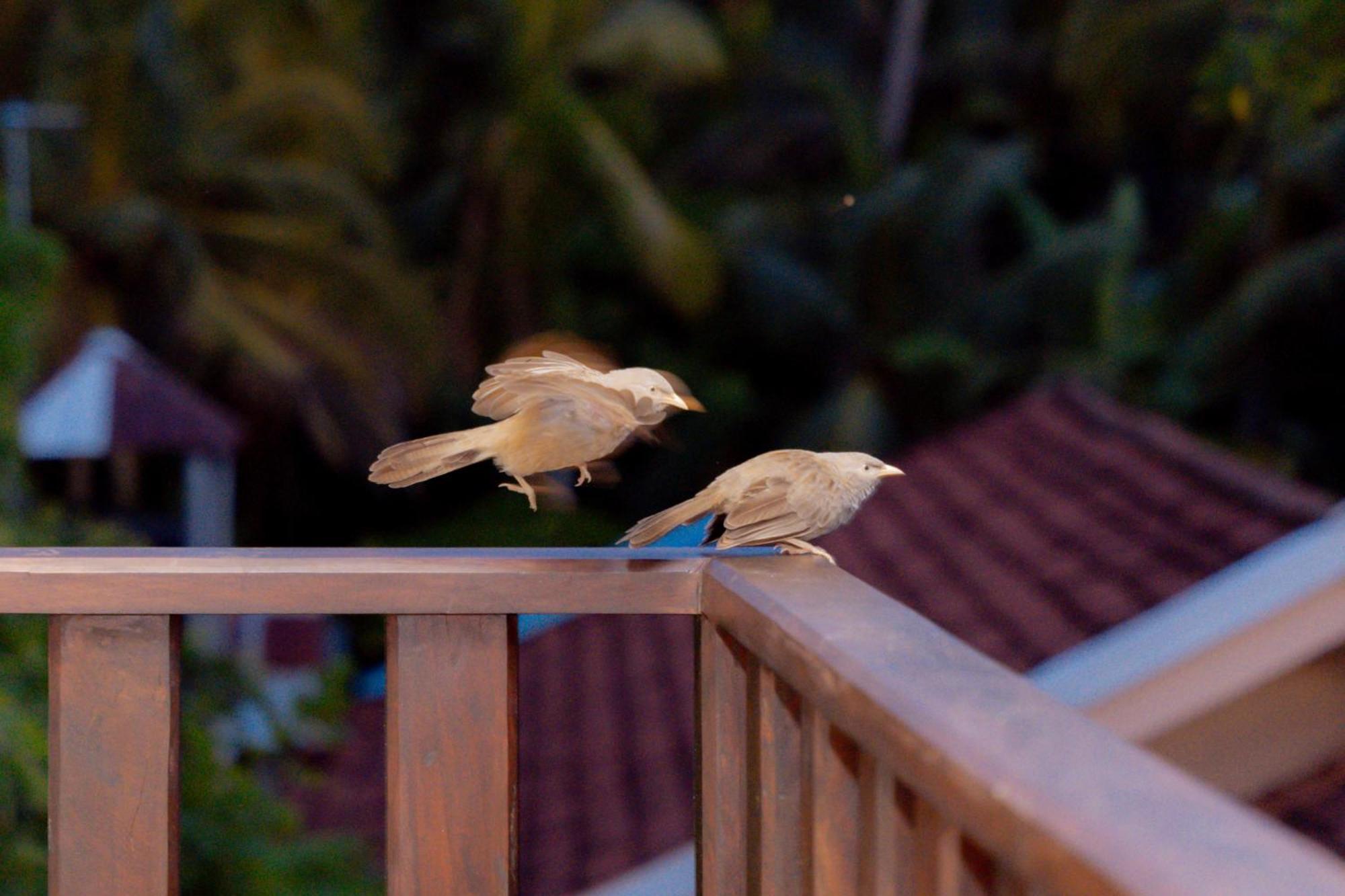 Sea Bay Inn แทนกาลเล ภายนอก รูปภาพ