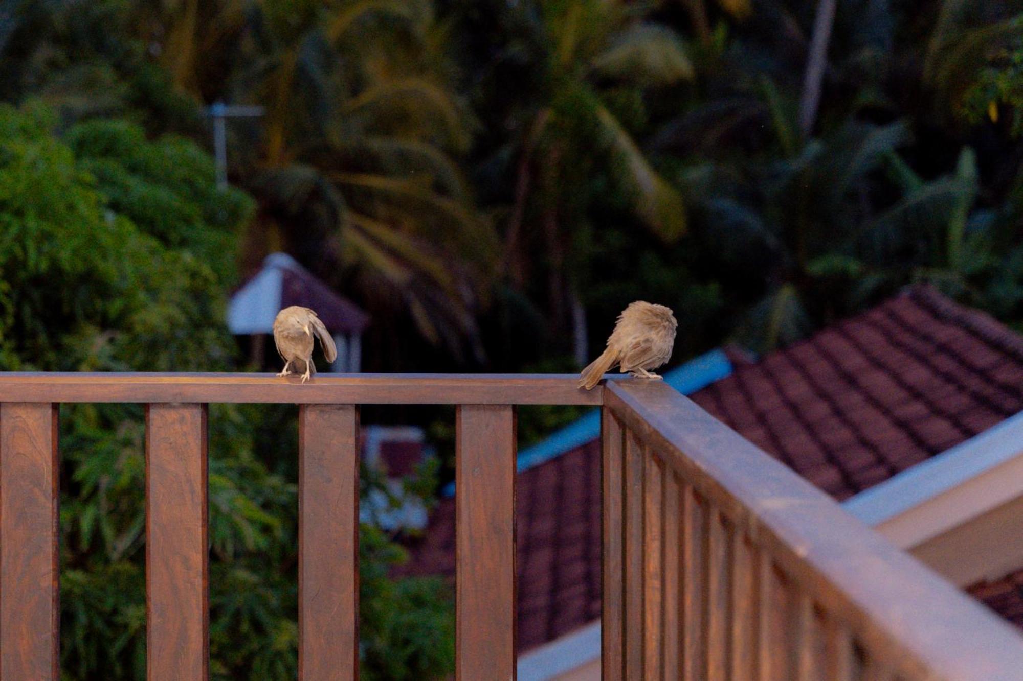 Sea Bay Inn แทนกาลเล ภายนอก รูปภาพ